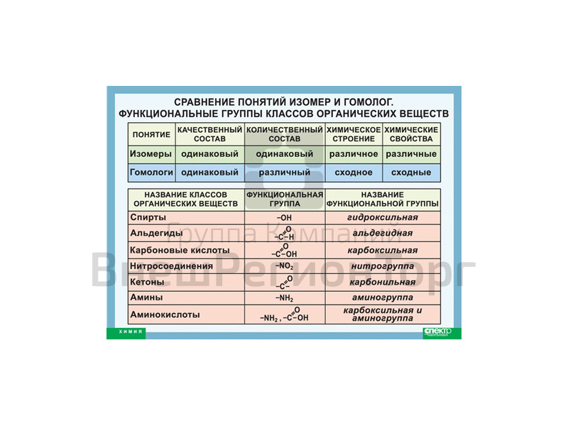 Сравнение понятий изомер и гомолог.