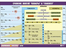 Таблица демонстрационная "Сравнение понятий изомер и гомолог", 70х100 см