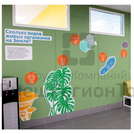 Разнообразие биологических видов.