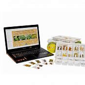 Коллекция натурально-интерактивная Плоды сельскохозяйственных растений