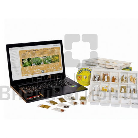 Коллекция натурально-интерактивная Плоды сельскохозяйственных растений.