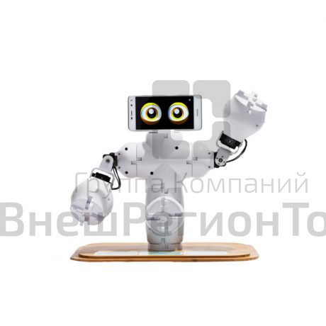 Учебно-игровой комплект модульной робототехники "Инженерная лаборатория Fable".