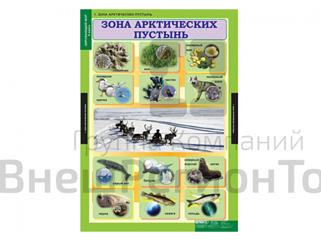 Таблицы "Окружающий мир 4 класс".