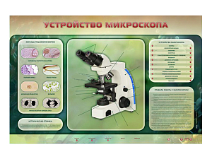 Стенд электризированный «Устройство микроскопа» 1500×1000 мм