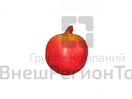 Муляж Гранат.