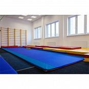Дорожка гимнастическая 800х200