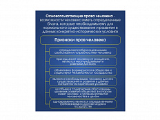 Стенд "ОСНОВОПОЛАГАЮЩИЕ ПРАВА ЧЕЛОВЕКА" 80х90 см