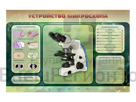 Электрифицированный стенд "Устройство микроскопа и правила работы c ним".