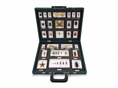 Учебно-наглядное пособие: 27 беспозвоночных