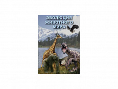 DVD "Эволюция животного мира"