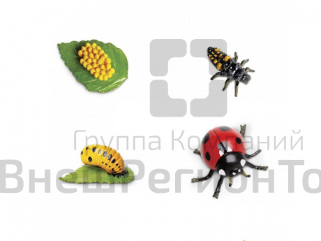 Фигурки: Жизненный цикл божьей коровки 4 шт..
