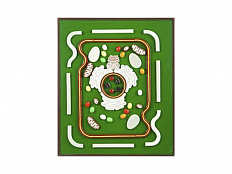 Модель-аппликация "Строение клетки"