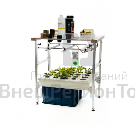 Комплект лабораторного оборудования «От зародыша до взрослого растения (организма)» Тип 2.