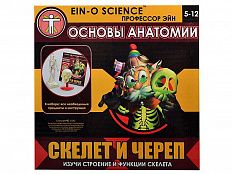 Набор Профессор Эйн: Скелет и череп