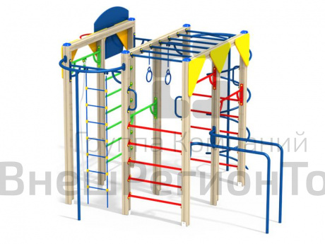 Спортивный комплекс "Рукоход с кольцами".