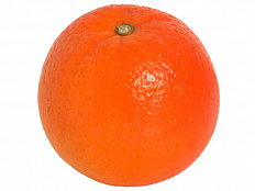 Муляж Мандарин