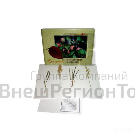 Комплект гербариев "Биология растений".