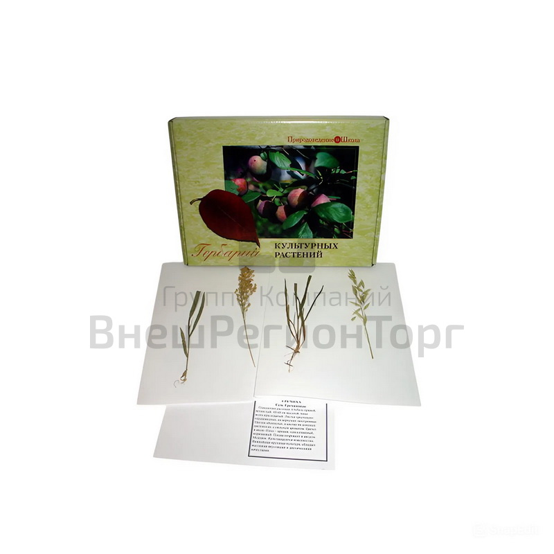 Комплект гербариев "Биология растений".