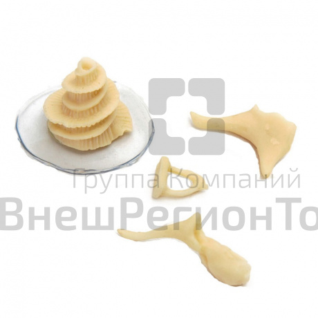Модель "Косточки слуховые".