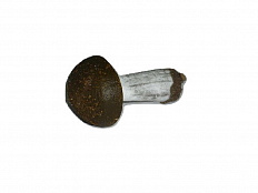 Муляж Гриб подберезовик