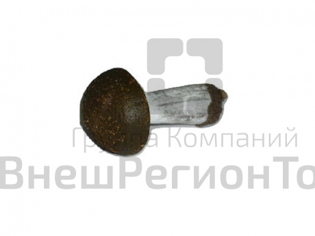 Муляж Гриб подберезовик.