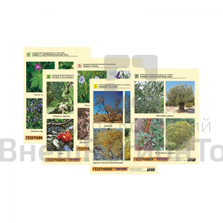 Гербарий фотографический по географии, 32 шт..
