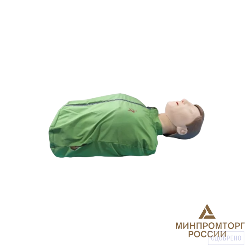 Манекен (торс) для СЛР