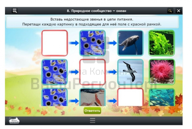 Электронные образовательные ресурсы по предмету Окружающий мир (3 класс).