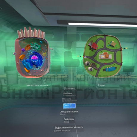 Биология «Цитология VR» 5-11 класс Модум Лаб.