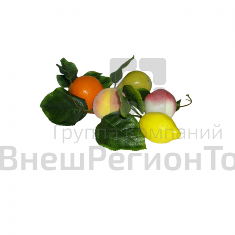 Комплект муляжей демонстрационный.