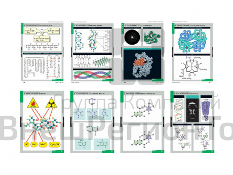 Комплект таблиц "Белки и нуклеиновые кислоты", 8 листов.
