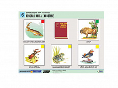 Комплект таблиц Окружающий мир. Экология 6 шт.