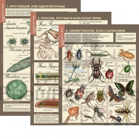 Комплект таблиц "Биология 7 класс Животные" (12 шт.).