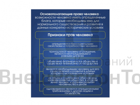 Стенд "ОСНОВОПОЛАГАЮЩИЕ ПРАВА ЧЕЛОВЕКА" 80х90 см.