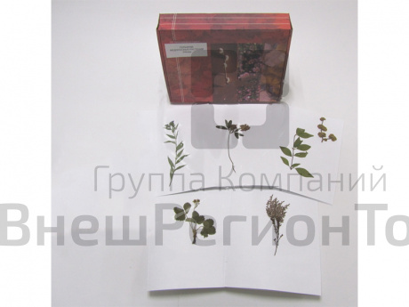 Гербарий "Медоносные растения".