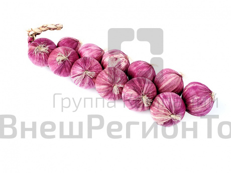 Муляжи Связка лука.