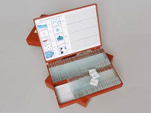 Комплект микропрепаратов Ботаника 1