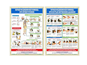 Стенды Первая медицинская помощь, 70х100 см, 5 шт.
