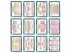 Литература 8 класс (таблицы 12 шт. 68х98 см)