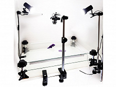 Мультстудия Стандарт