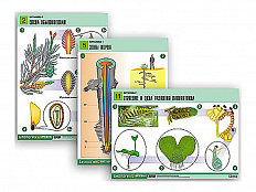 Таблицы по биологии Ботаника-1, 12 шт.