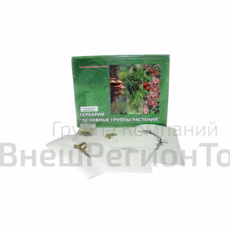 Гербарий "Основные группы растений" (52 листа).