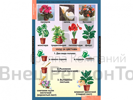 Таблицы "Окружающий мир 1 класс".