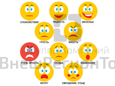 Игра Страна эмоций.