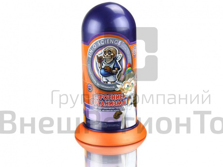 Набор Профессор Эйн: Строение организма.