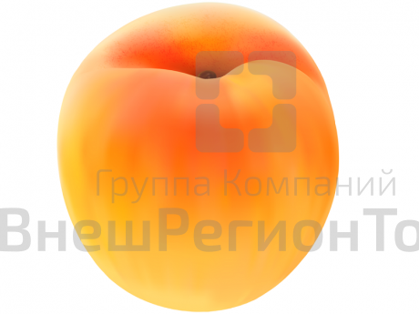 Муляж Абрикос.