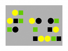 Модель-аппликация "Генеалогический метод антропогенетики"