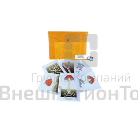 Модель-аппликация Размножение шляпочного гриба.