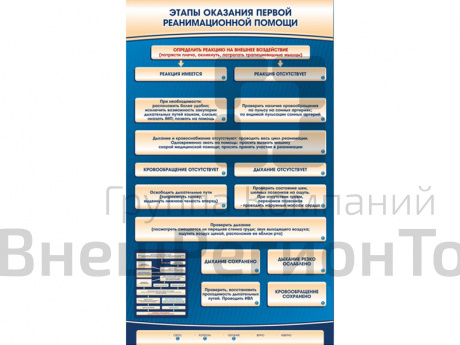 Электрифицированный стенд-тренажер Этапы оказания первой реанимационной помощи.