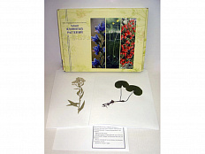 Гербарий "Ядовитые растения"